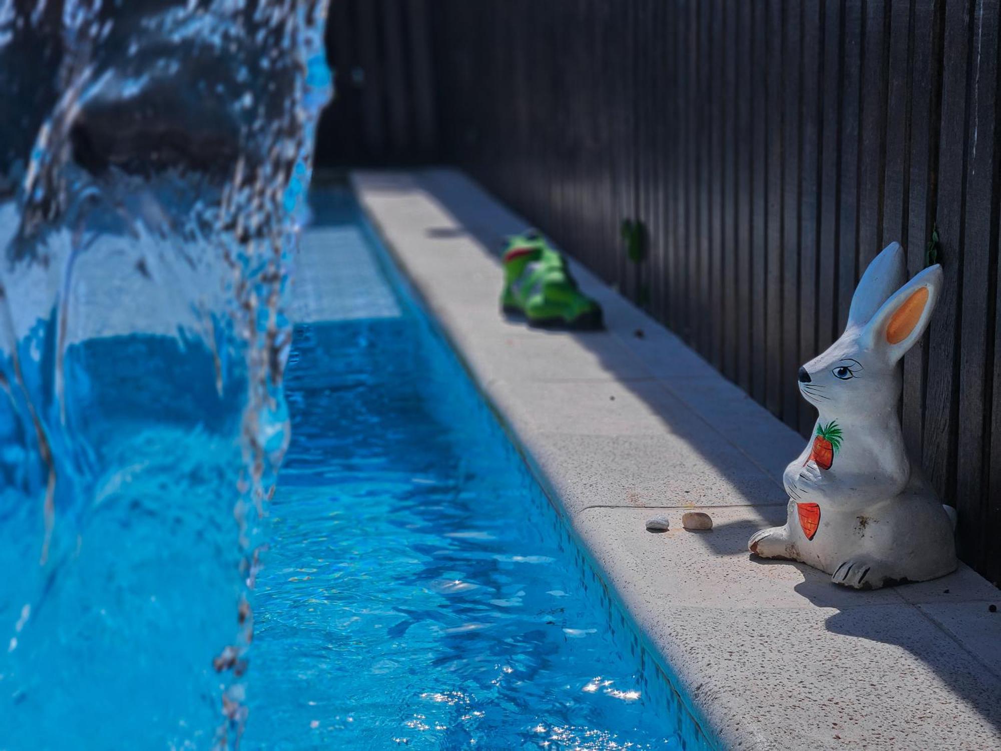 Bella Vista Ocean View Hotel Armacao dos Buzios Exterior photo A bunny watering can